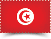 Courier charges from India to Tunisia